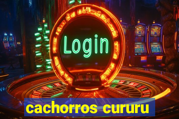 cachorros cururu